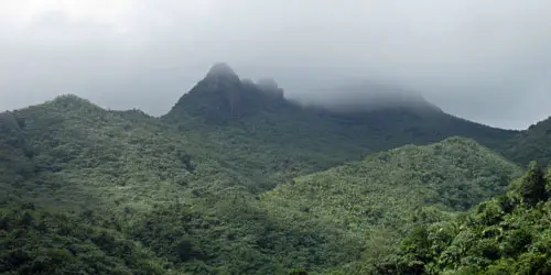 el yunque rainforest el yunque rainforest