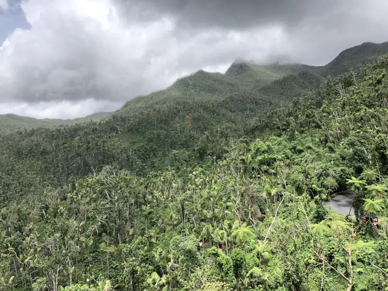 El Yunque Puerto Rico