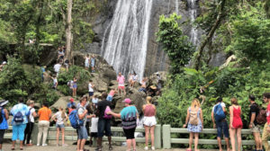 El Yunque Puerto Rico