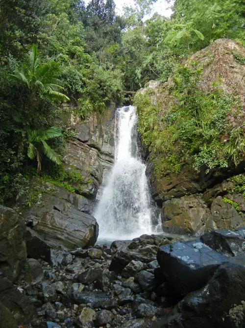 la mina trail in el yunque La Mina Falls El Yunque Rainforest Puerto Rico