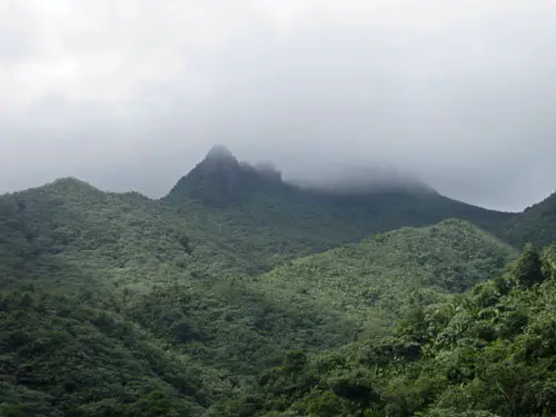 El Yunque Rainforest Puerto Rico El Yunque Rainforest Puerto Rico