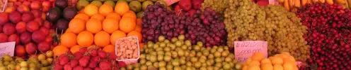 fruit