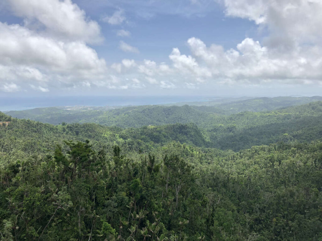 Fun facts about Puerto Rico - El Yunque Rainforest