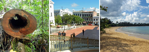 Outdoors Activities in Puerto Rico