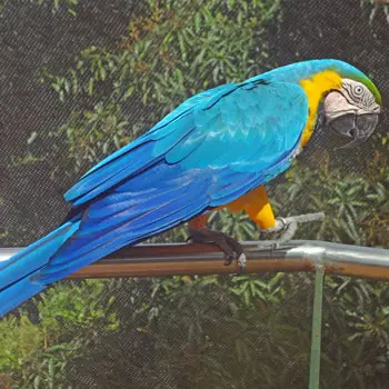 Parque Forestal La Marquesa in Guaynabo