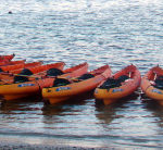 Laguna Grande BioBay, Fajardo BioBay