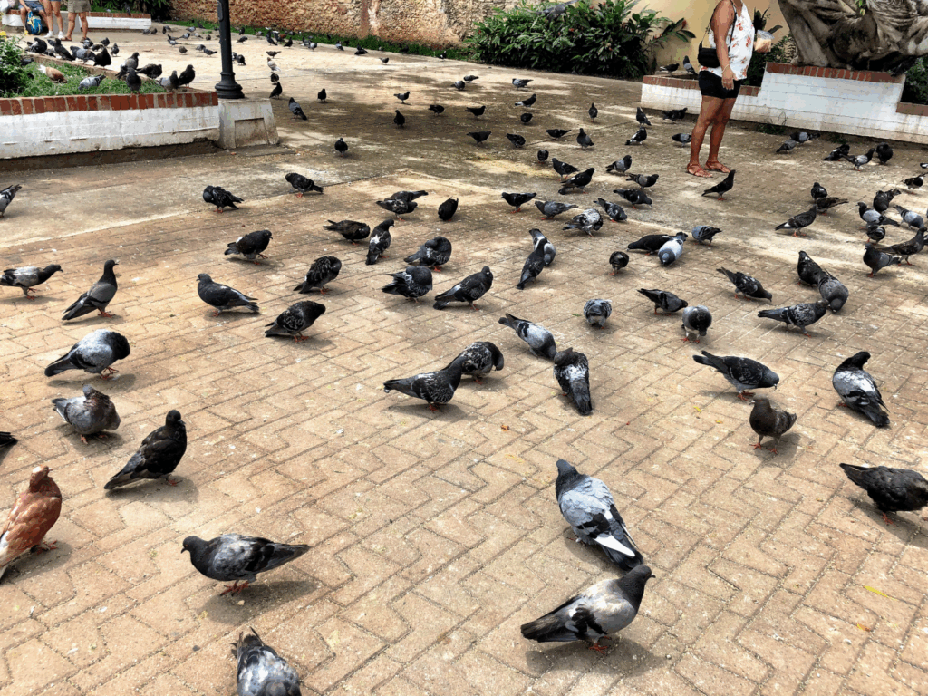Ultimate Guide to Kid Friendly Old San Juan