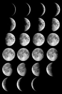 biobay moon phase calendar
