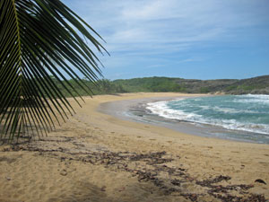 Porta Atlantico Region of Puerto Rico