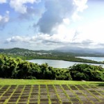 Para La Naturaleza Tours