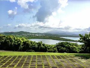 Para La Naturaleza Tours