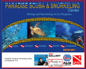 paradise scuba snorkel bio-bay tour