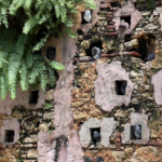 The Magic of Parque de las Palomas