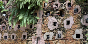 The Magic of Parque de las Palomas
