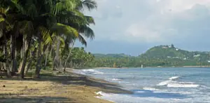 lucia beach