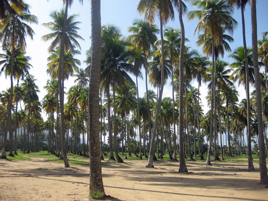 Playa Lucia Puerto Rico