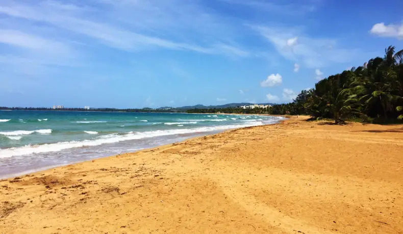 President's Day in Puerto Rico