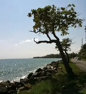 road to punta santiago