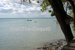 salinas puerto rico