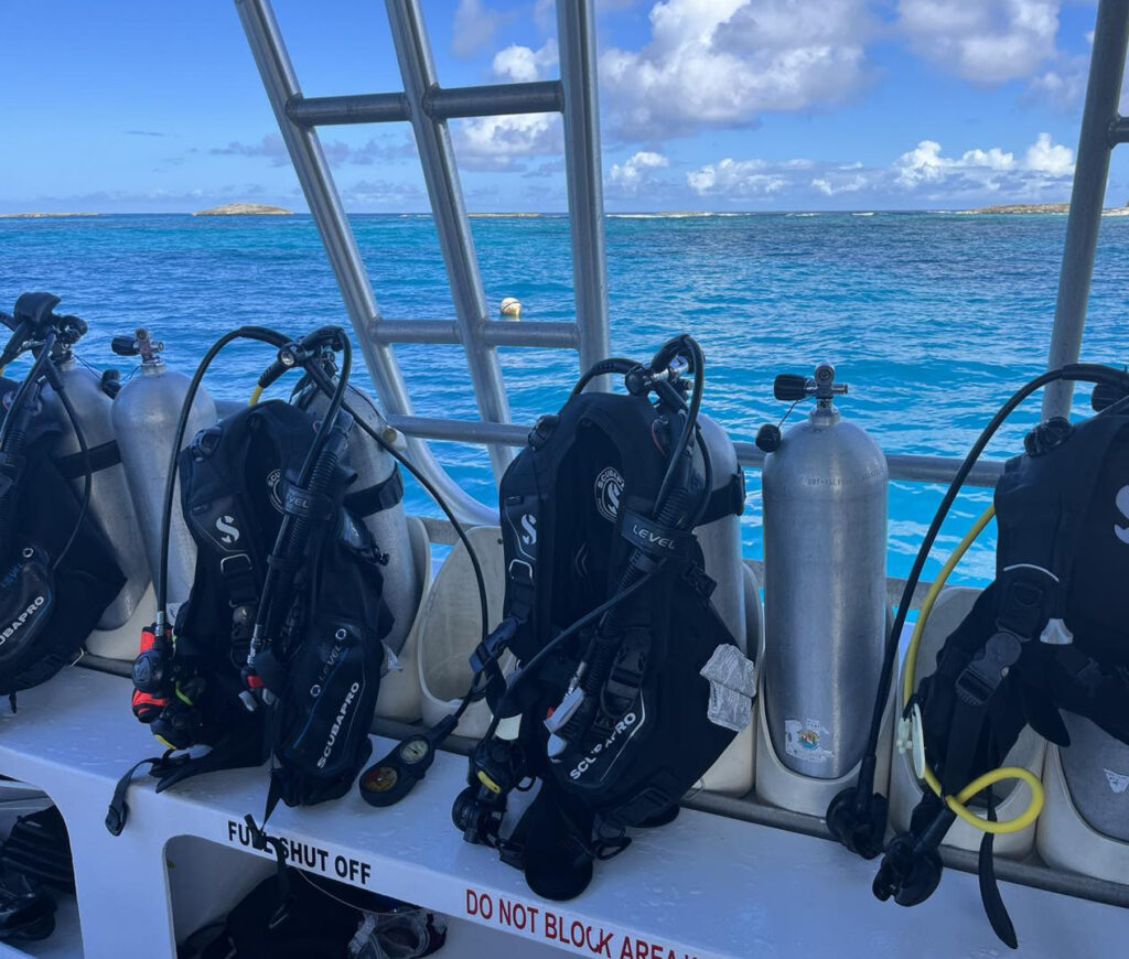 Where to Find the Best Scuba Diving in Puerto Rico