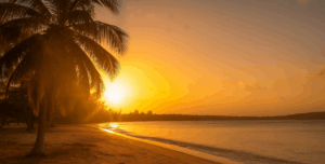 Family-Friendly and Photo-Worthy: Why Travelers Love Seven Seas Beach