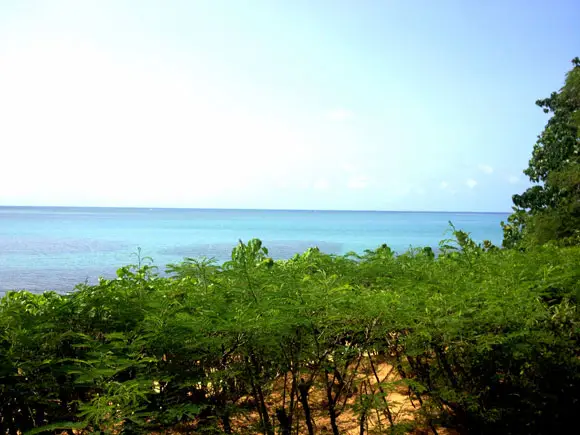 Las Cabezas de San Juan Nature Reserve