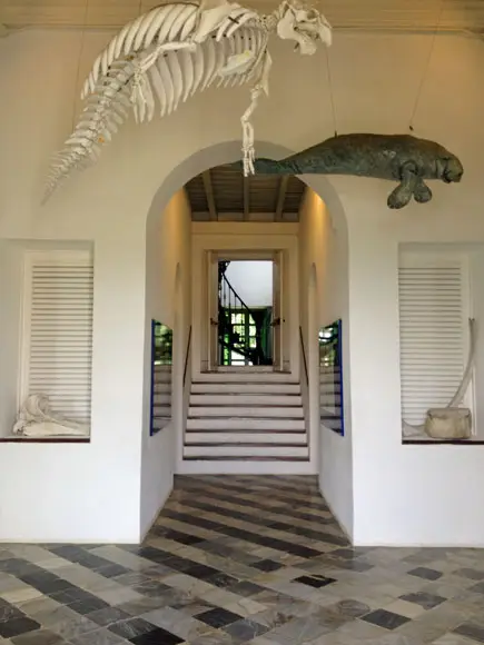 Las Cabezas de San Juan Nature Reserve
