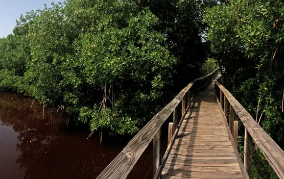 Las Cabezas de San Juan Nature Reserve