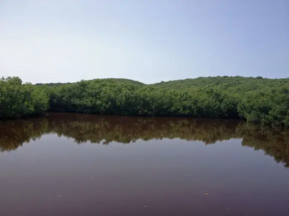 Las Cabezas de San Juan Nature Reserve
