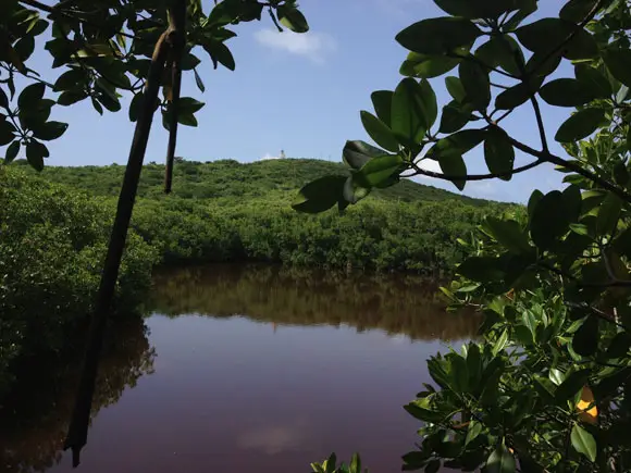 Las Cabezas de San Juan Nature Reserve