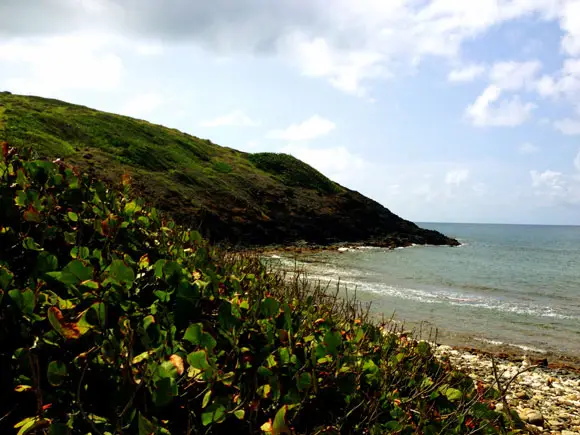Las Cabezas de San Juan Nature Reserve
