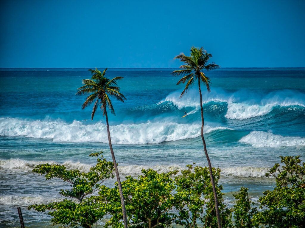 Surfing in Puerto Rico: The Ultimate Guide to the Best Waves on the Island