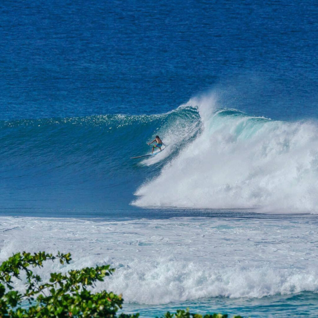 Surfing in Puerto Rico: The Ultimate Guide to the Best Waves on the Island
