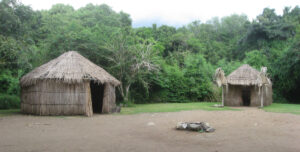 Taino living at thenCeremonial Indígena de Tibes