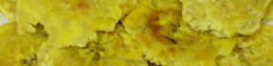 Puerto Rico Food