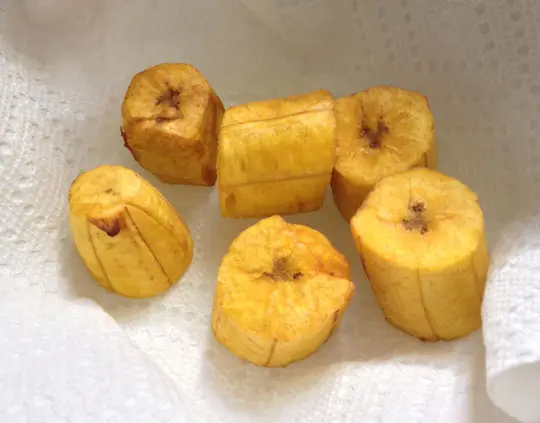 How to make Tostones
