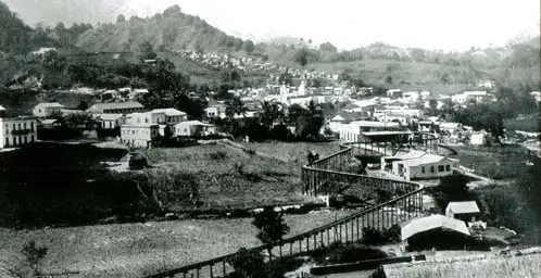 utuado coffee plantation