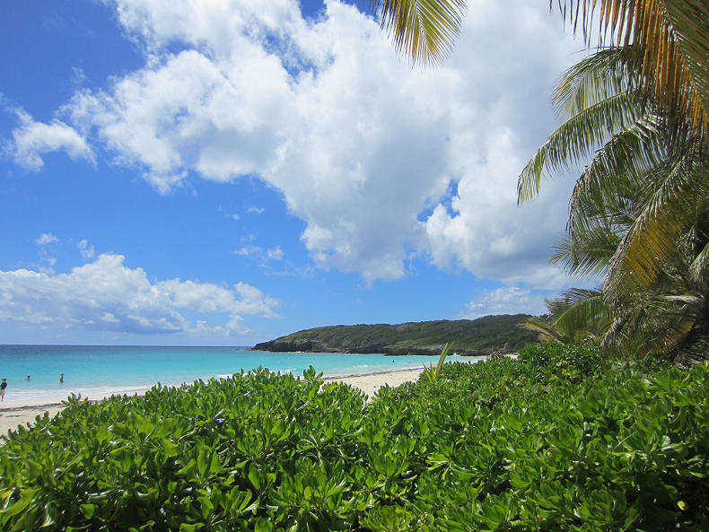 Playa Navio, Vieques