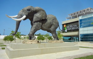 Museo de Vida Silvestre, San Juan
