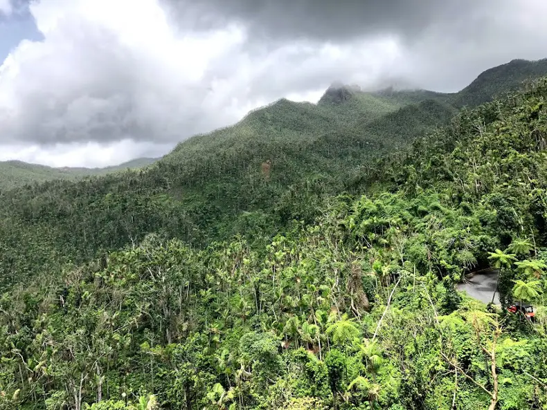El Yunque Puerto Rico