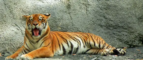 mayaguez Zoo Puerto Rico