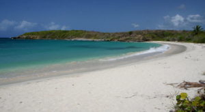 Vieques The Best Beaches