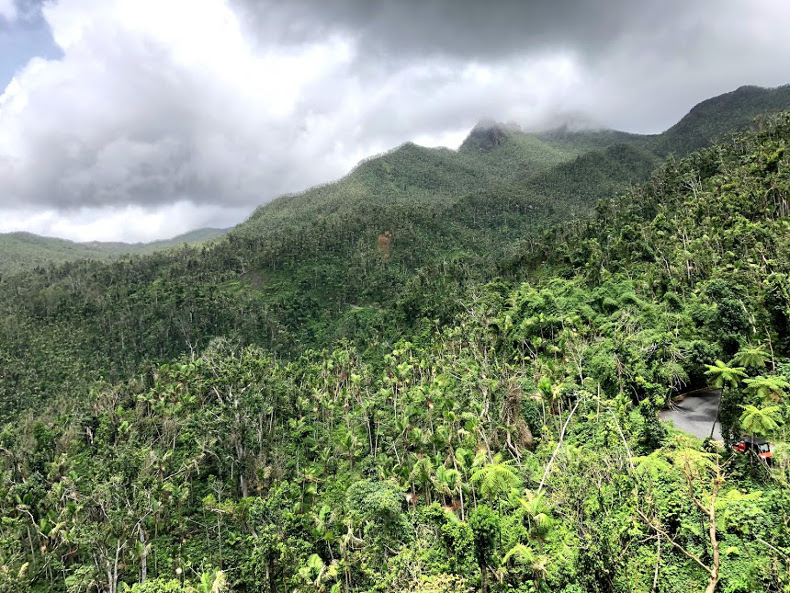El Yunque Puerto Rico